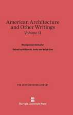 American Architecture and Other Writings, Volume II