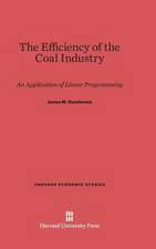 The Efficiency of the Coal Industry