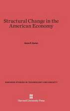 Structural Change in the American Economy