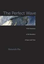 The Perfect Wave – With Neutrinos at the Boundary of Space and Time