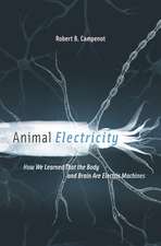 Animal Electricity – How We Learned That the Body and Brain Are Electric Machines