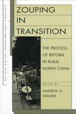 Zouping in Transition – The Process of Reform in Rural North China (Paper)