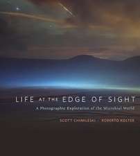 Life at the Edge of Sight – A Photographic Exploration of the Microbial World