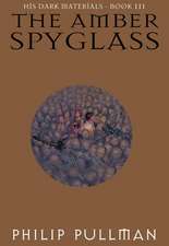 The Amber Spyglass