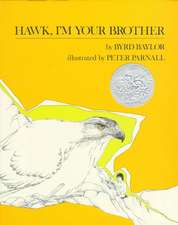 Hawk, I'm Your Brother