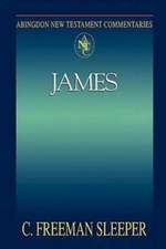 Abingdon New Testament Commentaries: James