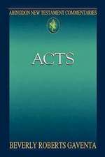 Abingdon New Testament Commentaries: Acts