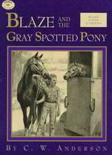 Blaze and the Gray Spotted Pony