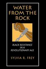 Water from the Rock – Black Resistance in a Revolutionary Age