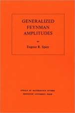 Generalized Feynman Amplitudes