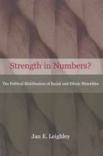 Strength in Numbers? – The Political Mobilization of Racial and Ethnic Minorities