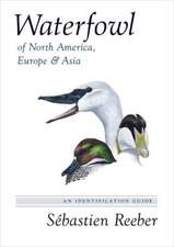 Waterfowl of North America, Europe, and Asia – An Identification Guide