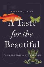 A Taste for the Beautiful – The Evolution of Attraction