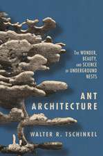 Ant Architecture – The Wonder, Beauty, and Science of Underground Nests