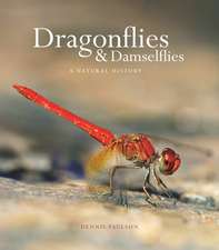 Dragonflies and Damselflies – A Natural History