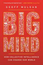 Big Mind