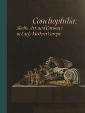 Conchophilia – Shells, Art, and Curiosity in Early Modern Europe