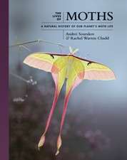 The Lives of Moths – A Natural History of Our Planet′s Moth Life