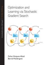Optimization and Learning via Stochastic Gradient Search