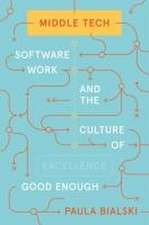 Middle Tech – Software Work and the Culture of Good Enough