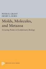 Molds, Molecules, and Metazoa – Growing Points in Evolutionary Biology