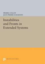 Instabilities and Fronts in Extended Systems