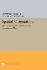 Spatial Orientation
