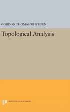 Topological Analysis