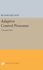 Adaptive Control Processes – A Guided Tour