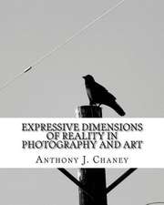 Expressive Dimensions of Reality in Photography and Art