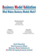 Business Model Validation