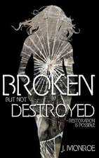 Broken But Not Destroyed