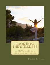 Look Into the Stillness