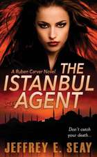 The Istanbul Agent