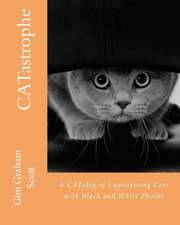 Catastrophe: A Catalog of Capitivating Cats - With Black and White Photos