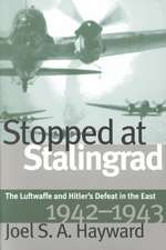 Stopped at Stalingrad