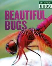 Beautiful Bugs