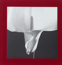 Mapplethorpe Flora