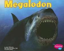 Megalodon