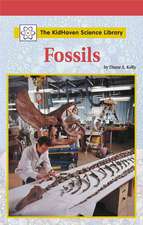 Fossils