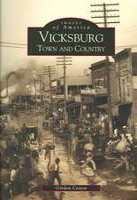 Vicksburg: Town and Country