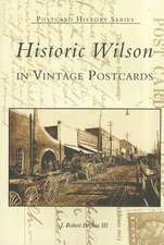 Historic Wilson in Vintage Postcards