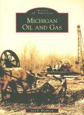 Michigan Oil and Gas