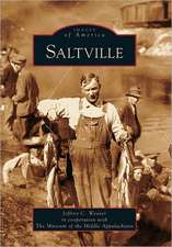 Saltville