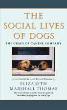 The Social Lives of Dogs