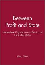 Between Profit and State – Intermediate Organisations in Britain and the United States