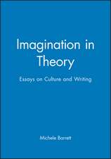 Imagination in Theory – Essays on Writing and Culture