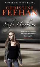 Feehan, C: Safe Harbour