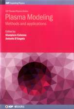 Plasma Modeling