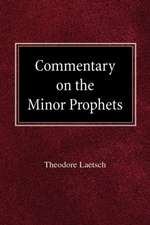 Commentary on the Minor Prophets